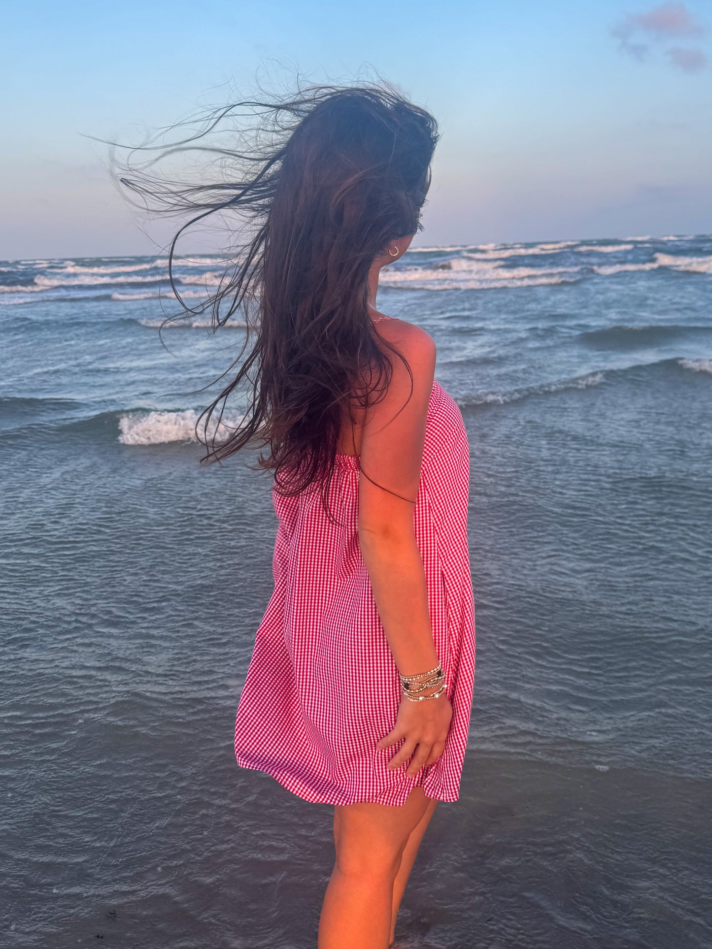 Wren Mini Dress